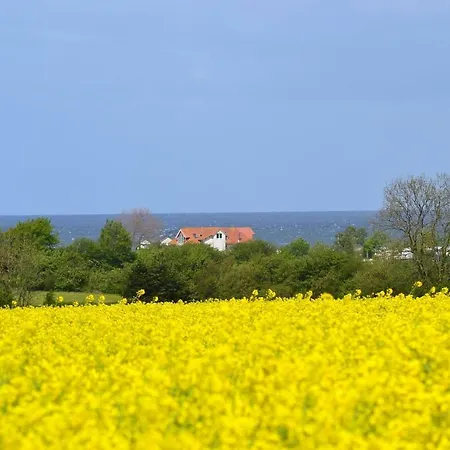 Steiner Strandappartements 201 Seeseite * Stein (Schleswig-Holstein)